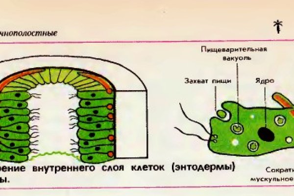 Кракен маркетплейс krk market com