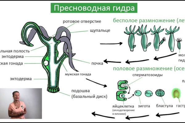 Кракен зеркало 2025