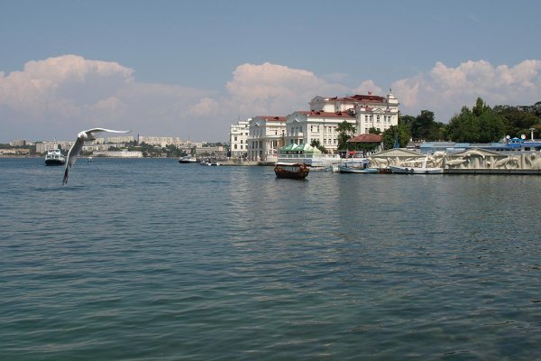 Кракен даркшоп