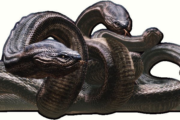 Kraken tor зеркало